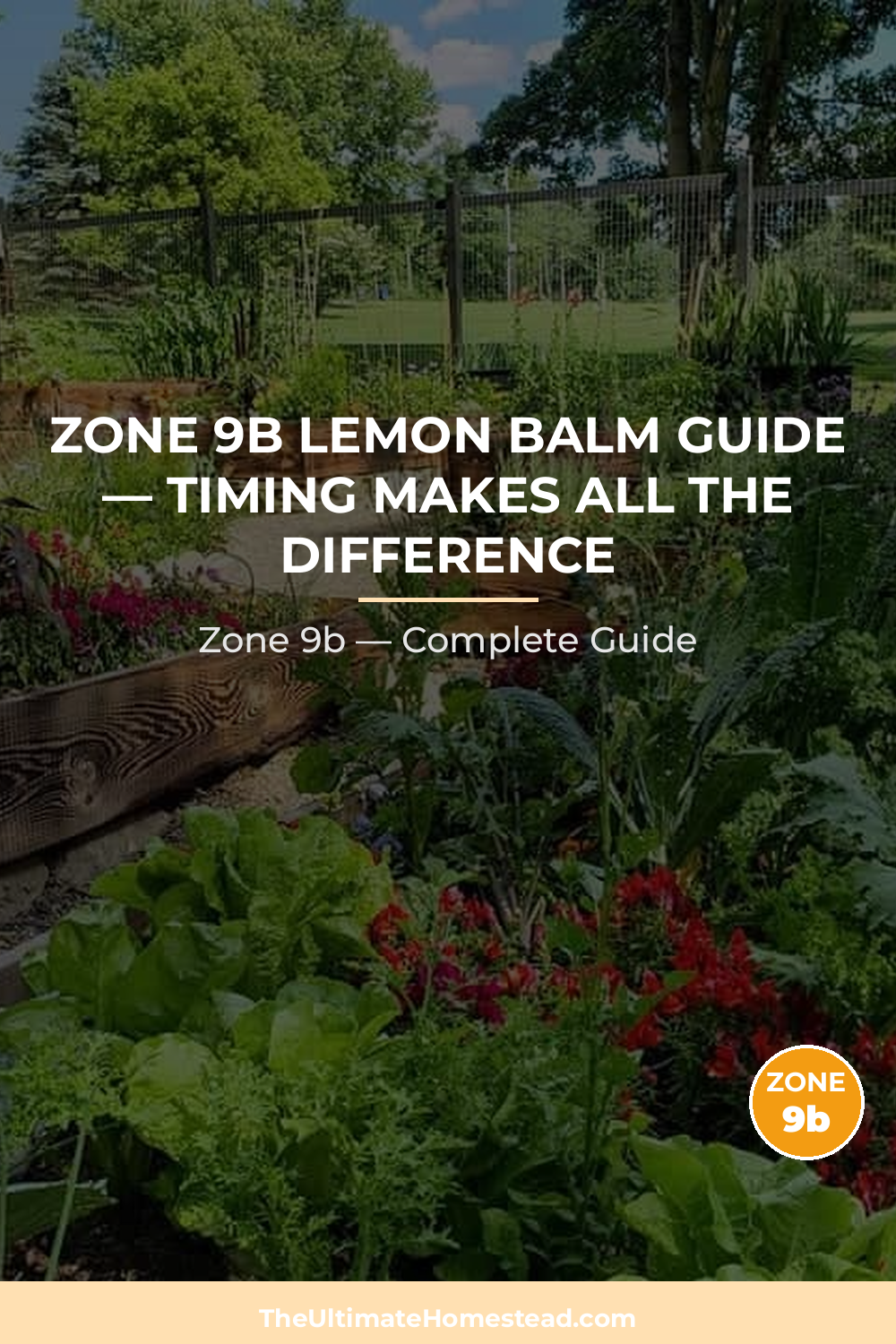 When to Plant Lemon Balm in Zone 9b