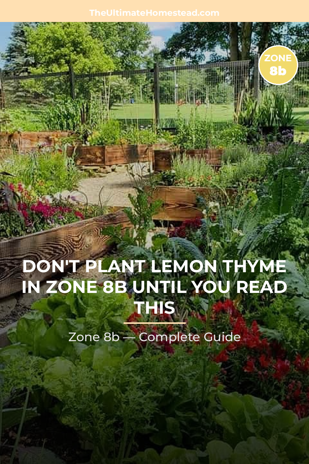 When to Plant Lemon Thyme in Zone 8b