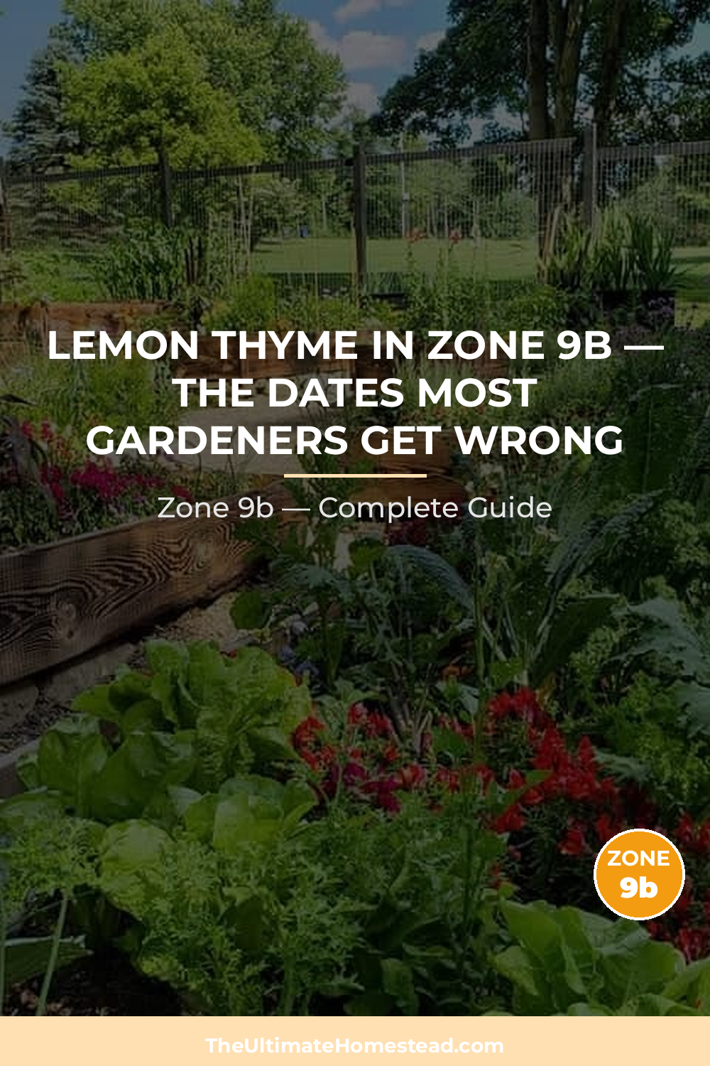 When to Plant Lemon Thyme in Zone 9b