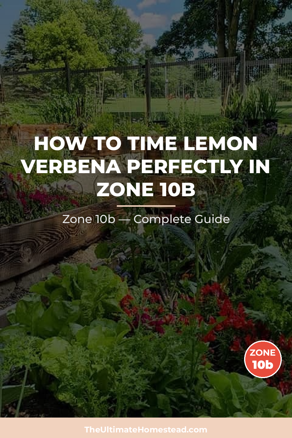 When to Plant Lemon Verbena in Zone 10b