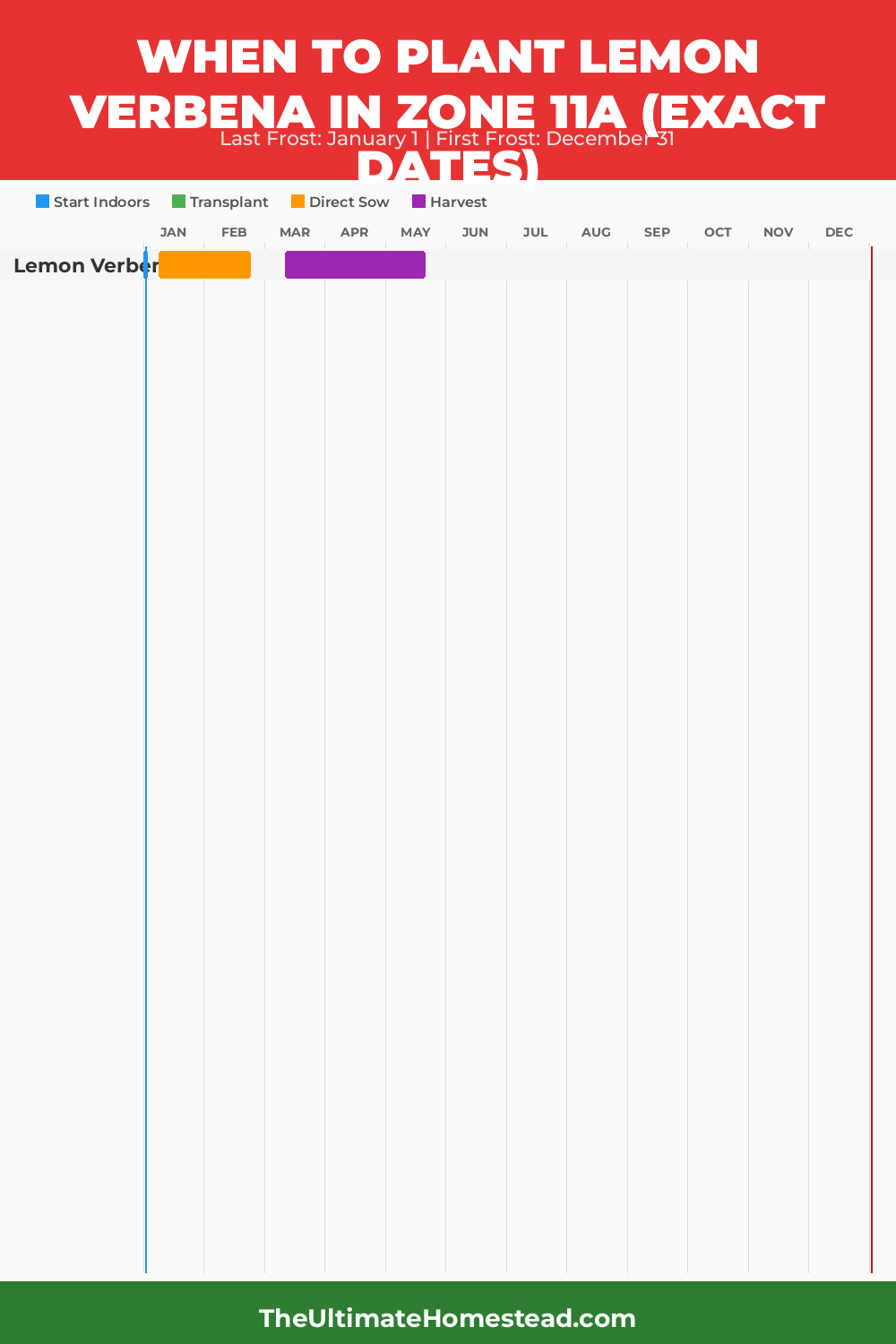 When to Plant Lemon Verbena in Zone 11a
