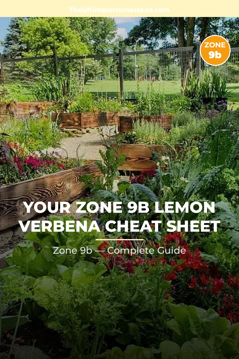 When to Plant Lemon Verbena in Zone 9b