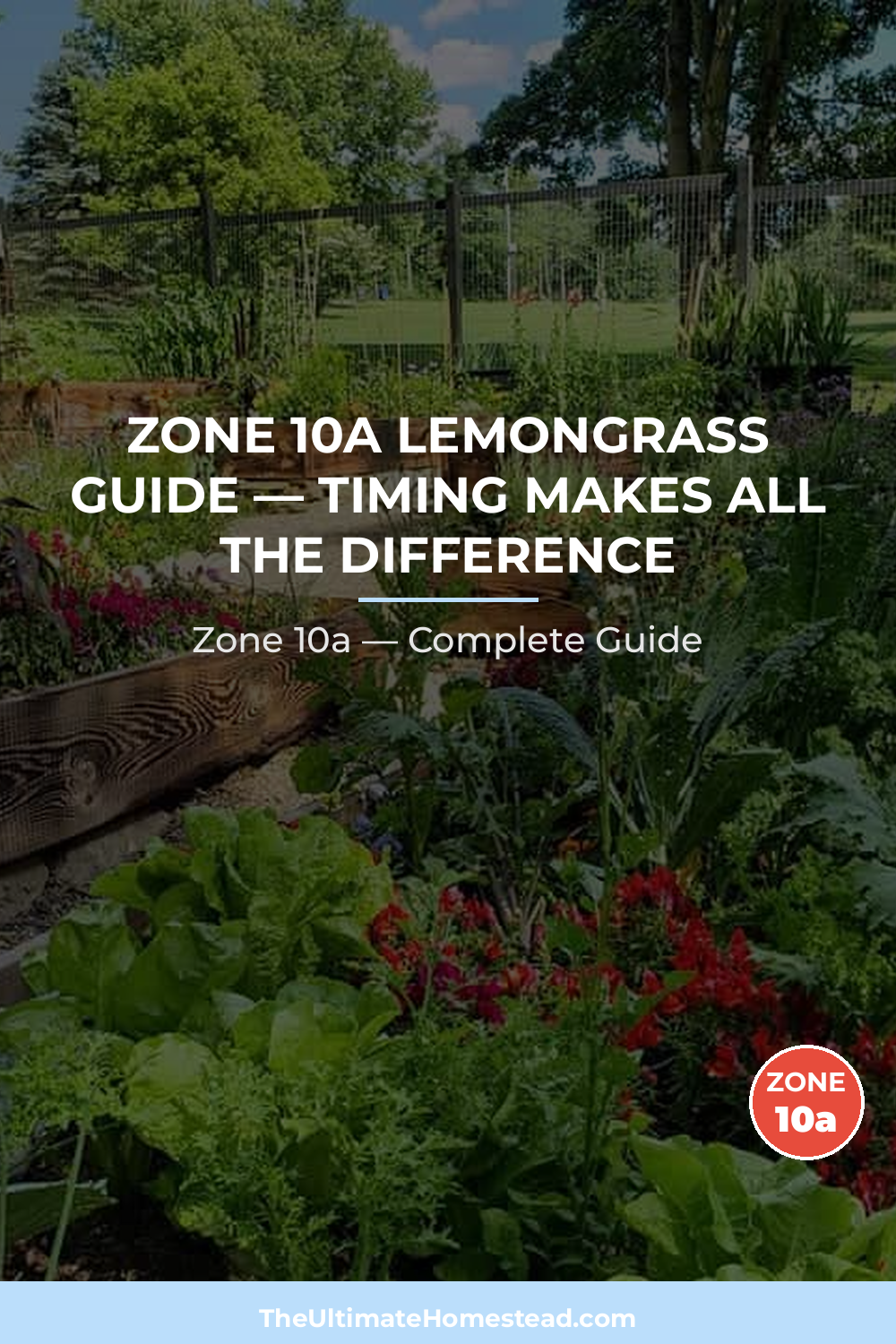 When to Plant Lemongrass in Zone 10a