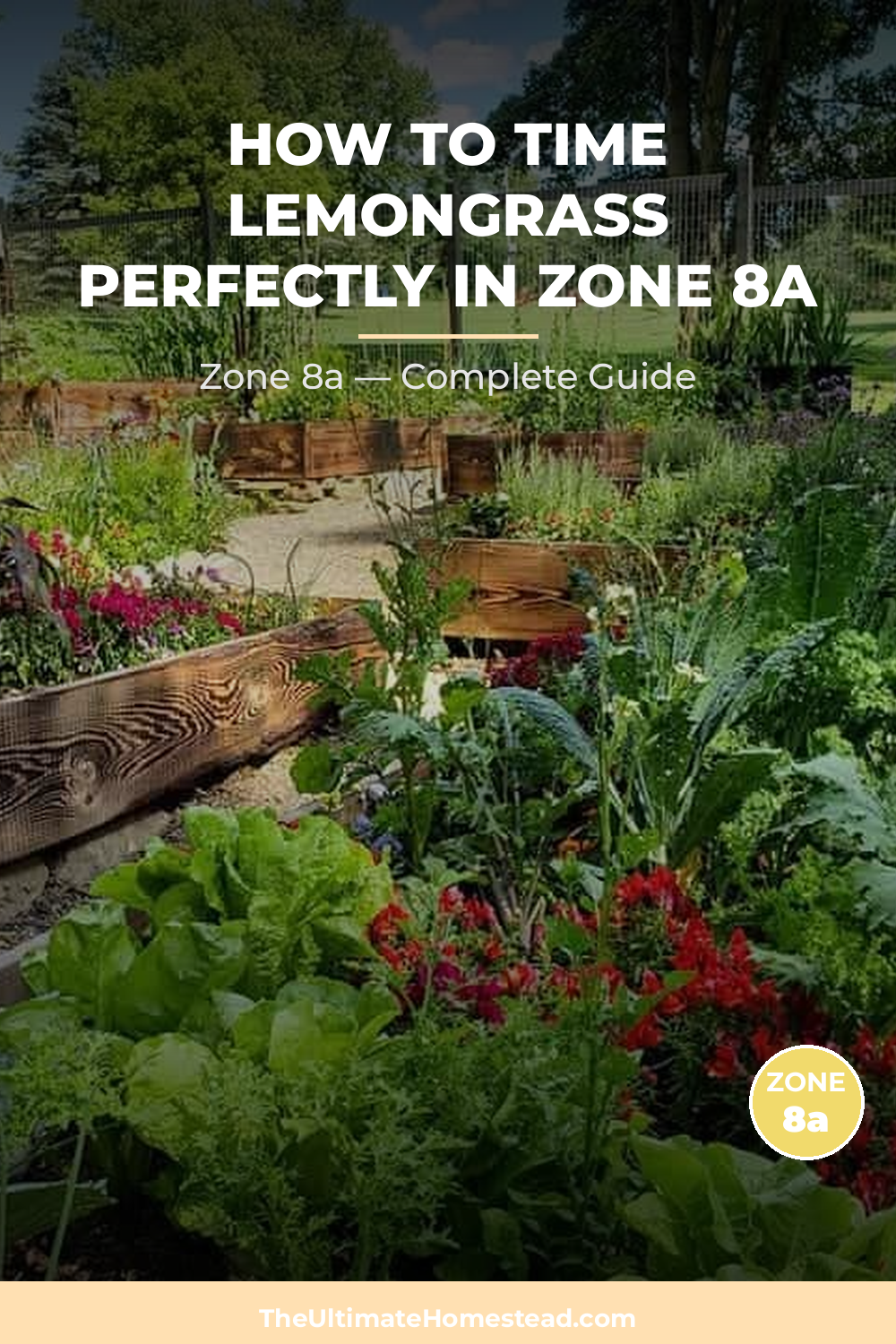 When to Plant Lemongrass in Zone 8a
