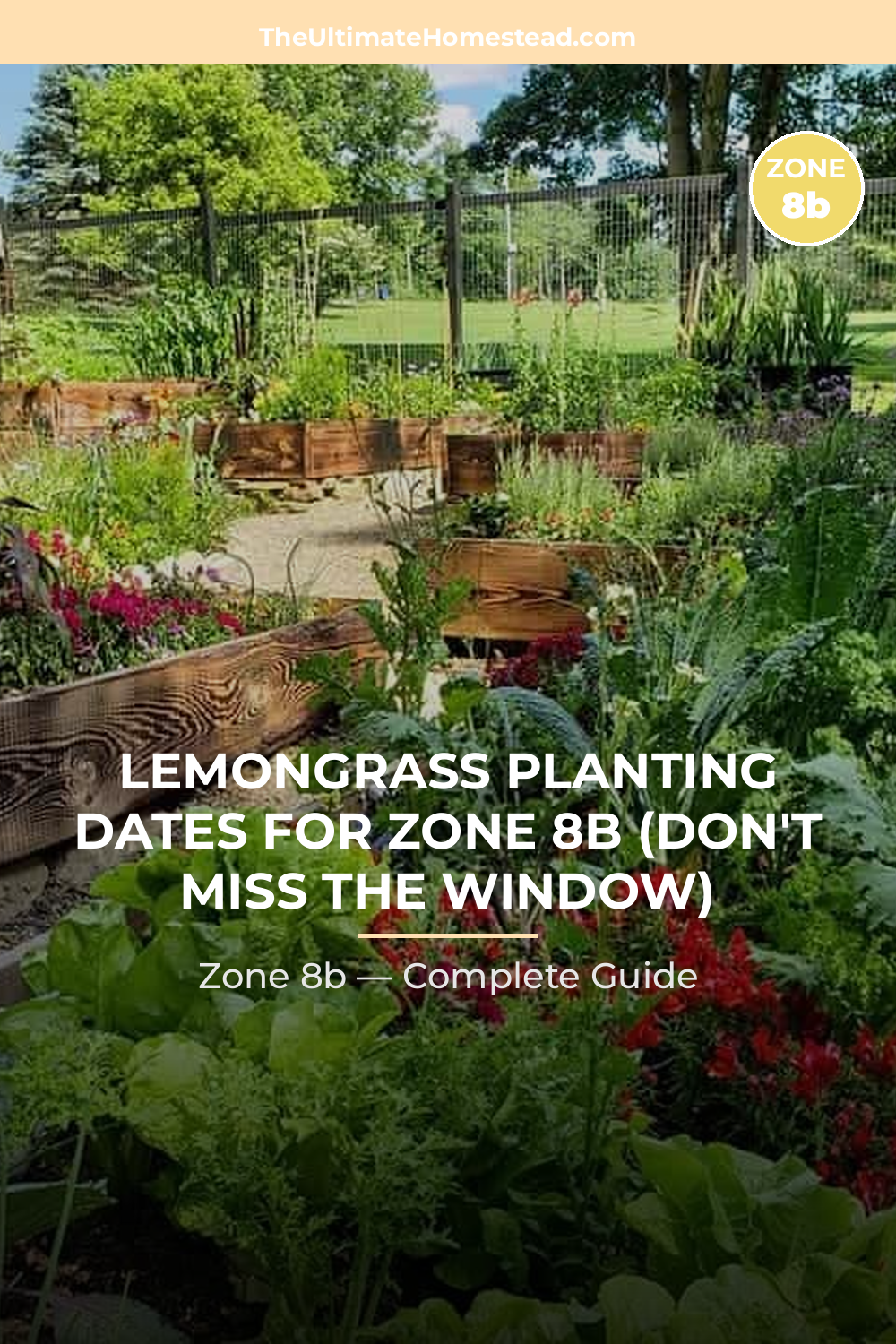 When to Plant Lemongrass in Zone 8b