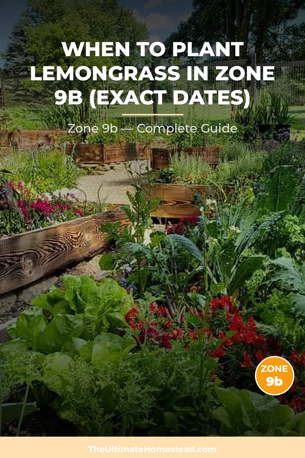 When to Plant Lemongrass in Zone 9b