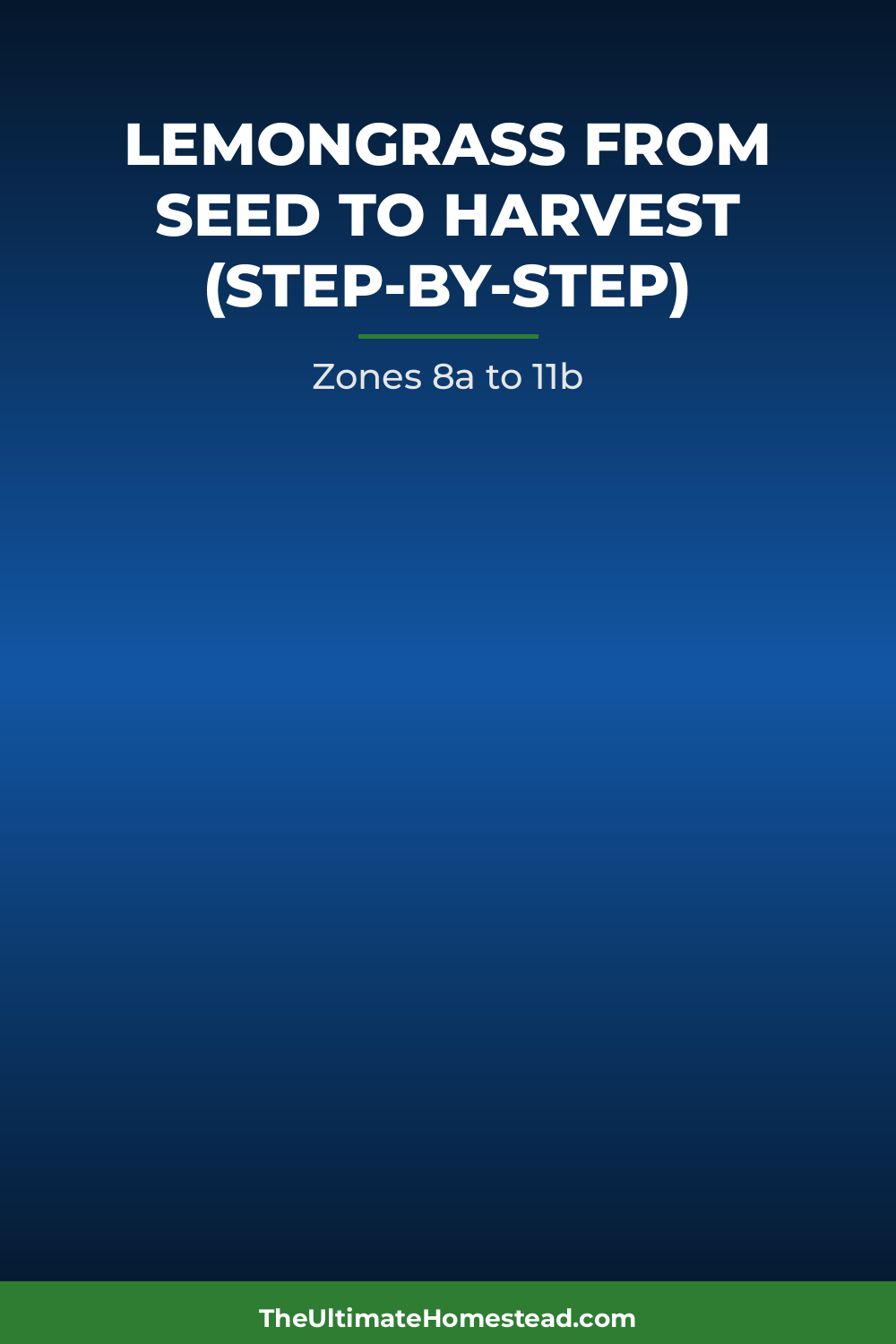 Lemongrass Planting Guide