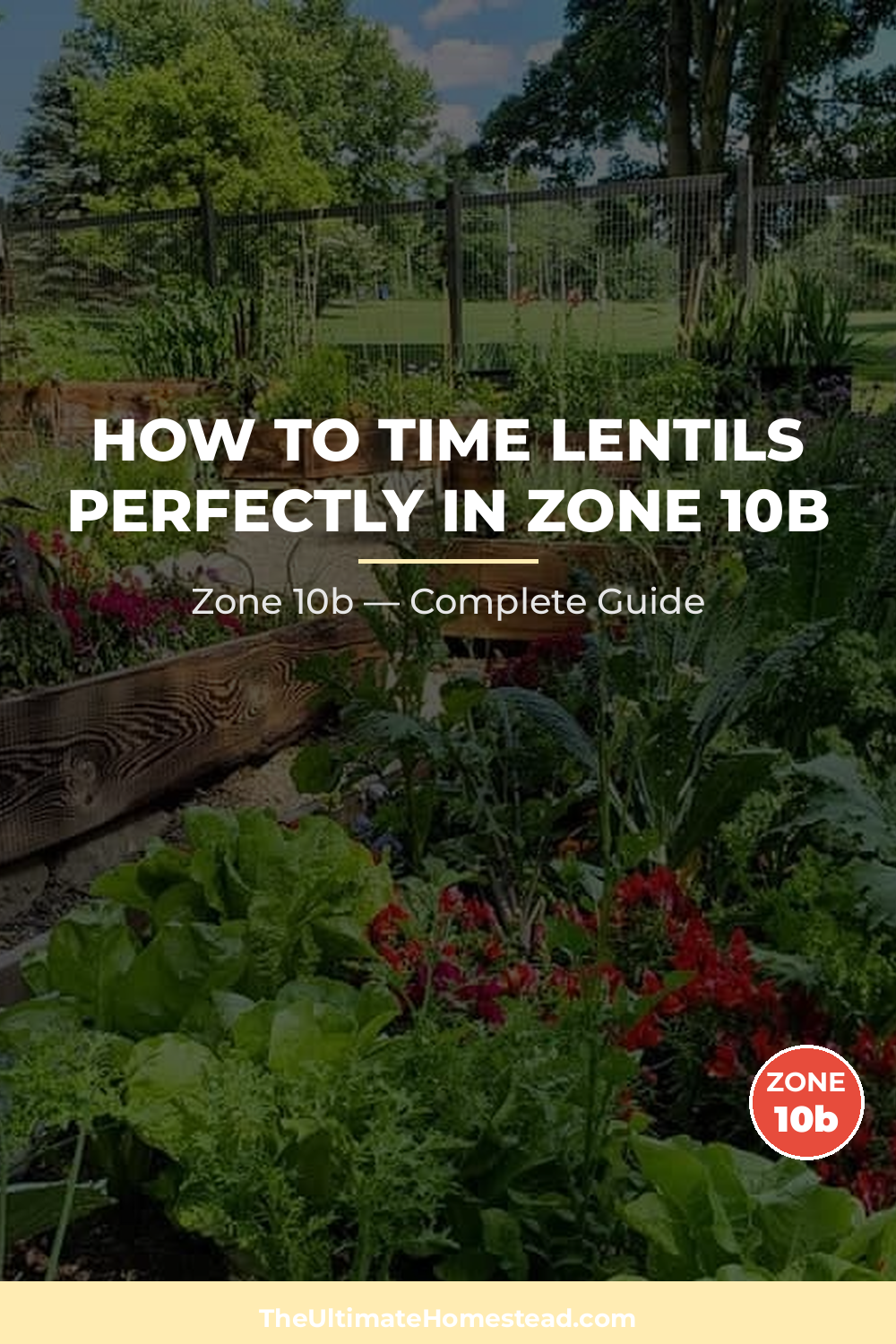 When to Plant Lentils in Zone 10b