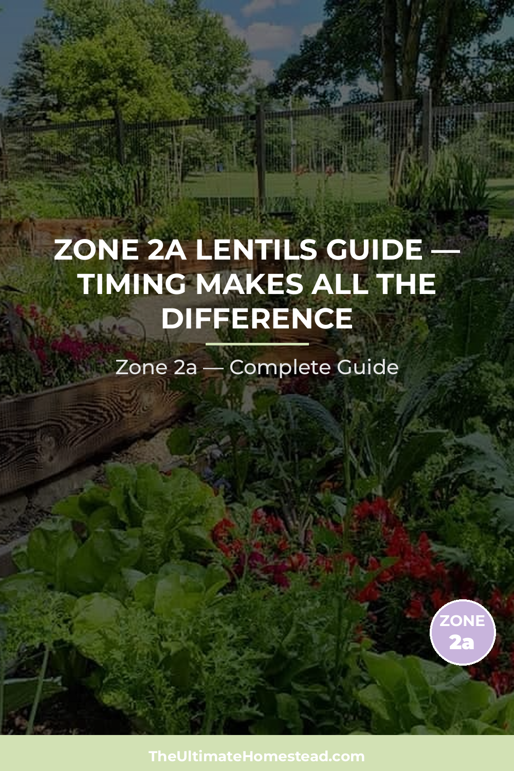 When to Plant Lentils in Zone 2a