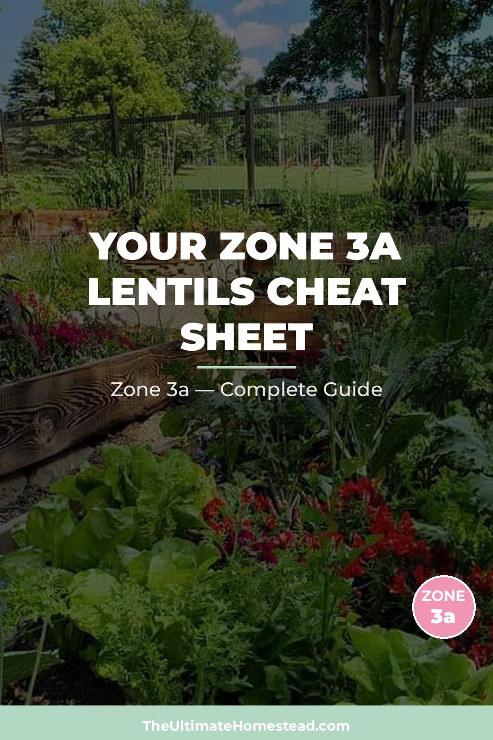 When to Plant Lentils in Zone 3a