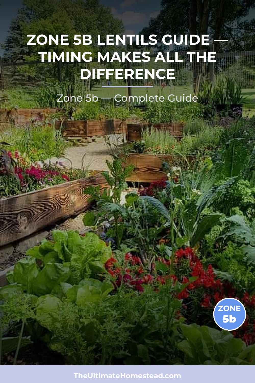 When to Plant Lentils in Zone 5b