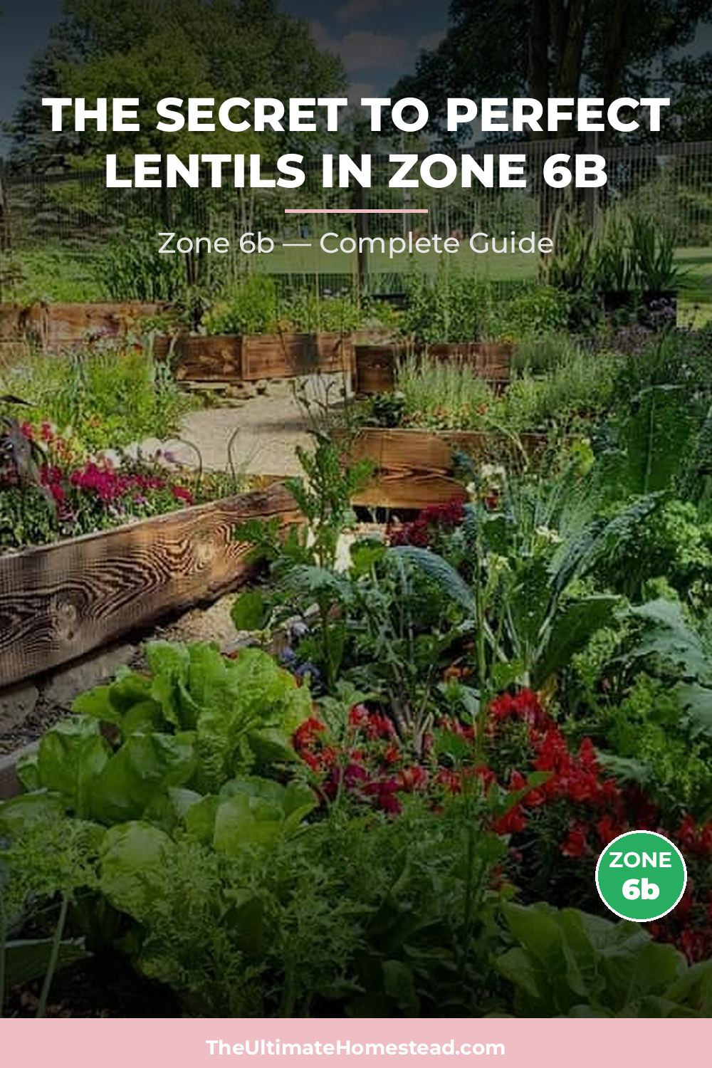 When to Plant Lentils in Zone 6b