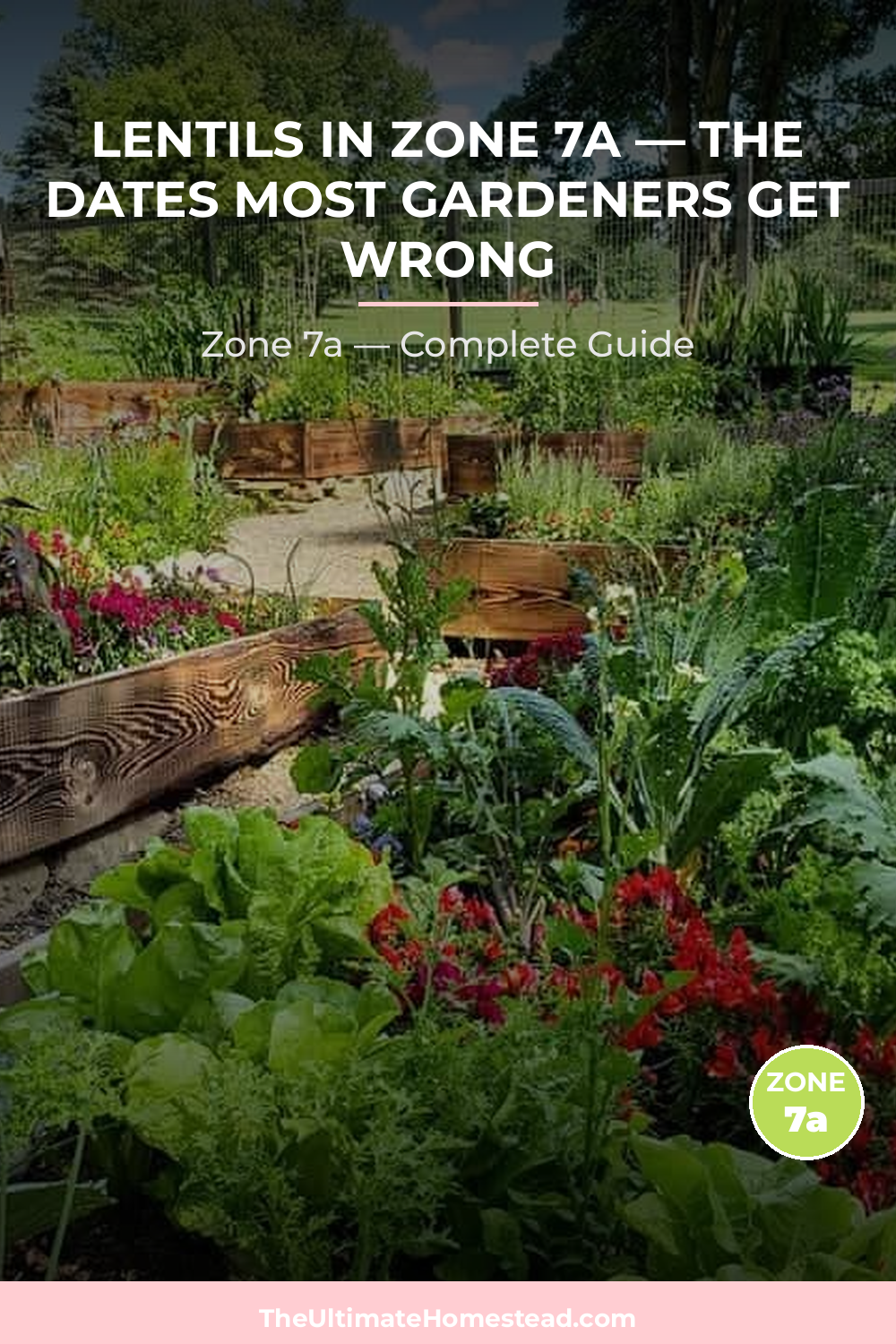 When to Plant Lentils in Zone 7a
