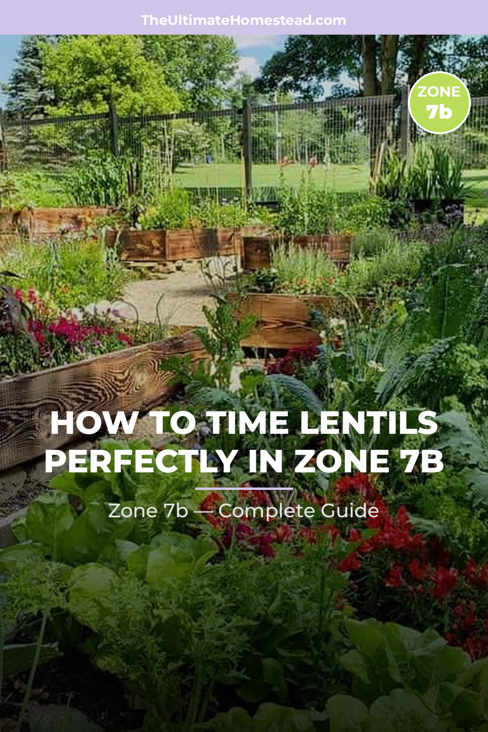 When to Plant Lentils in Zone 7b