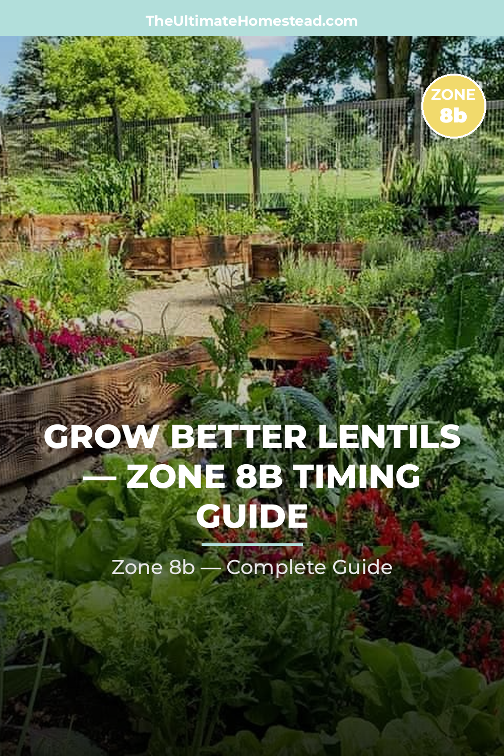 When to Plant Lentils in Zone 8b