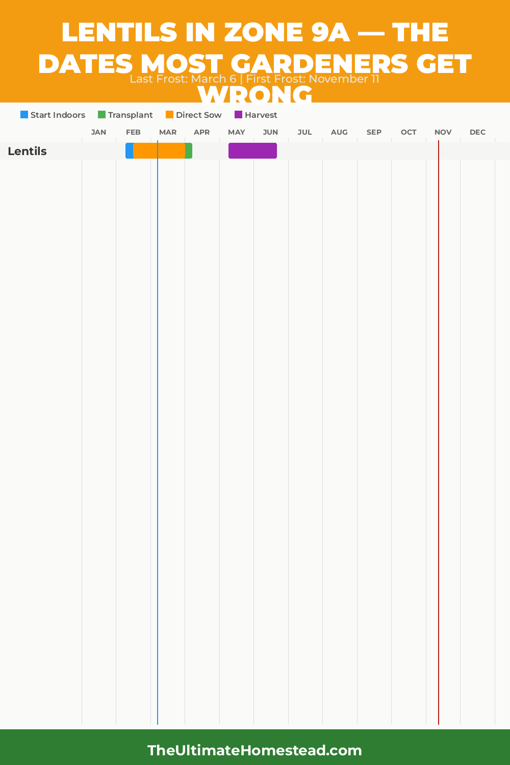 When to Plant Lentils in Zone 9a