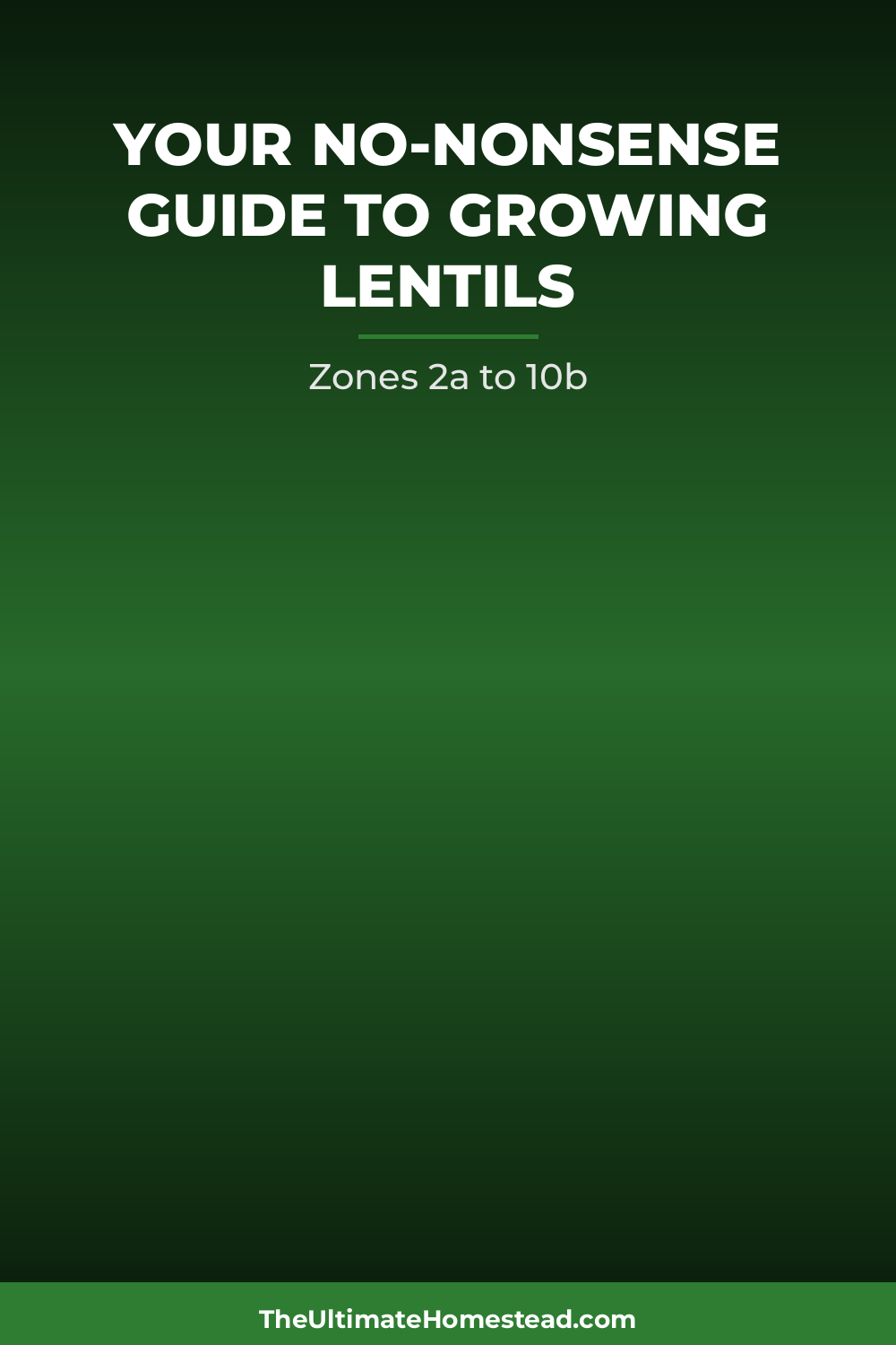 Lentils Planting Guide