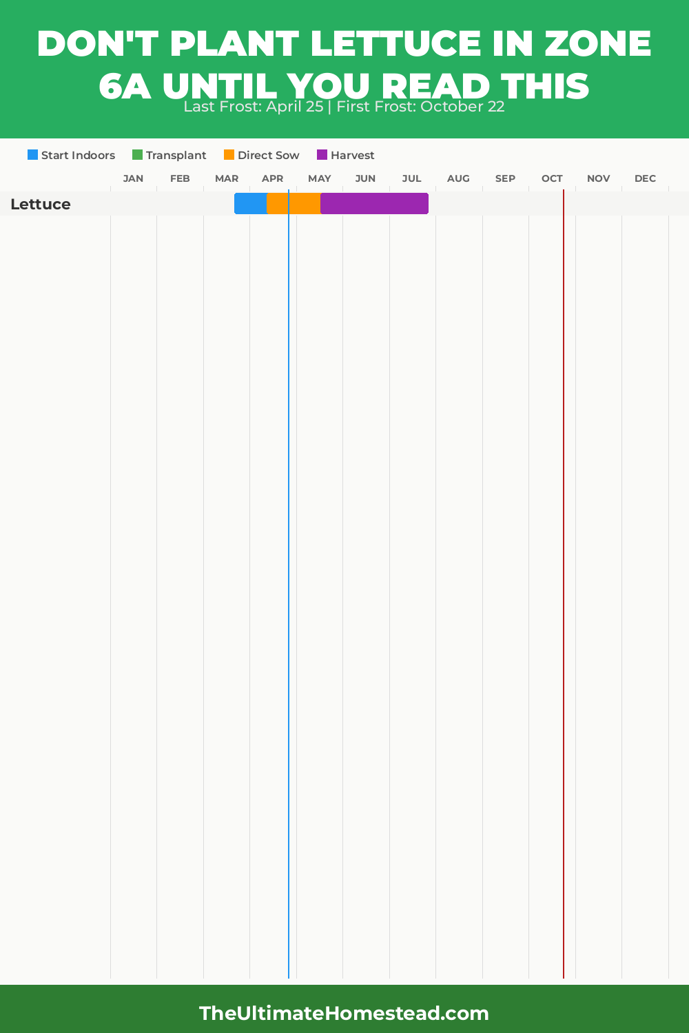 When to Plant Lettuce in Zone 6a