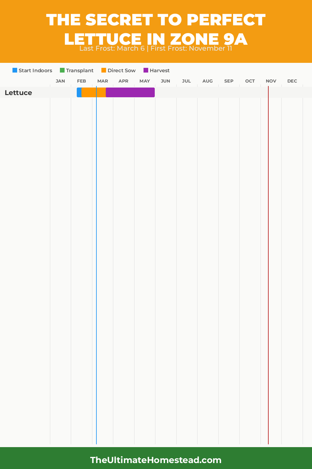 When to Plant Lettuce in Zone 9a