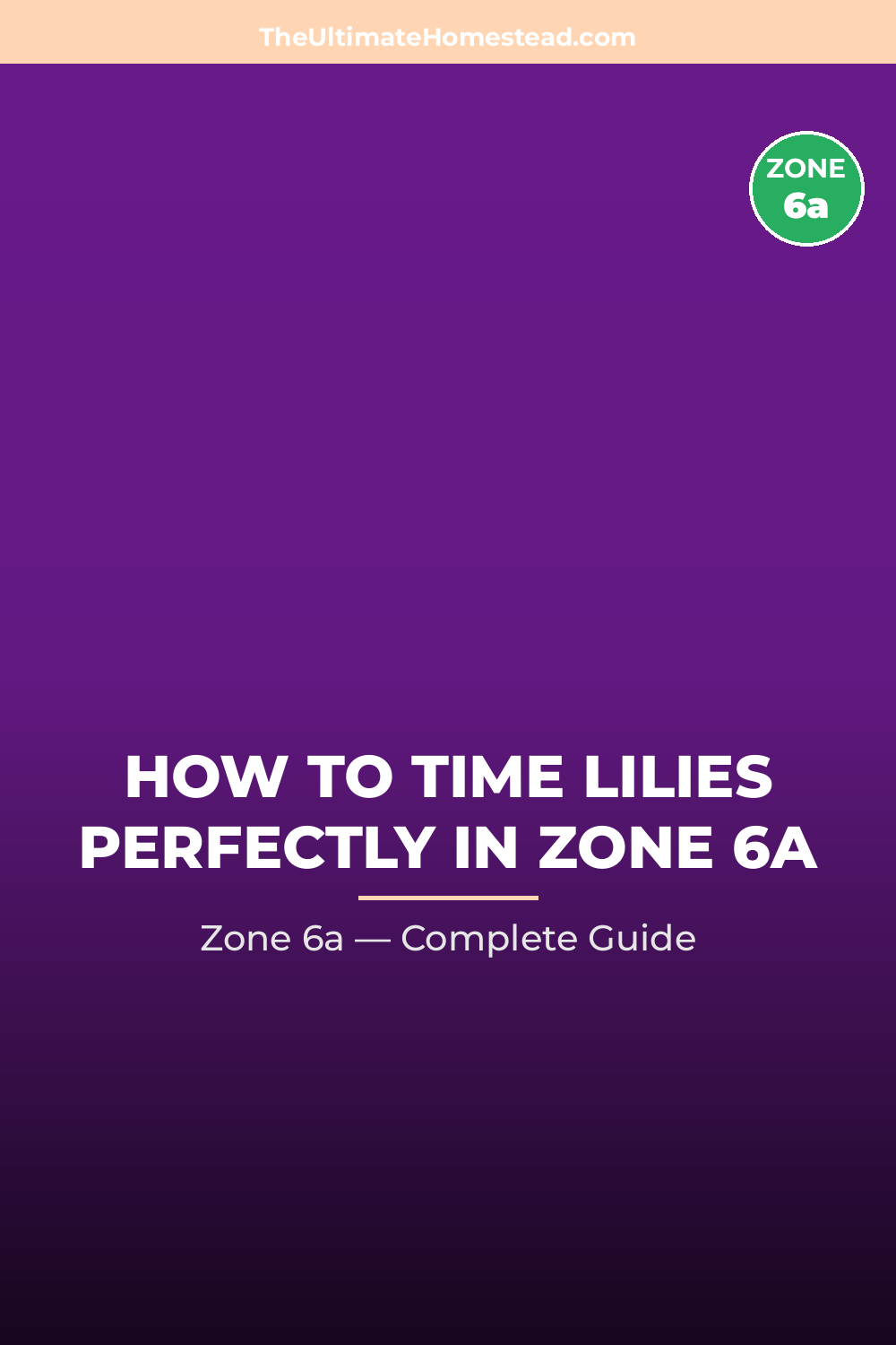 When to Plant Lilies in Zone 6a