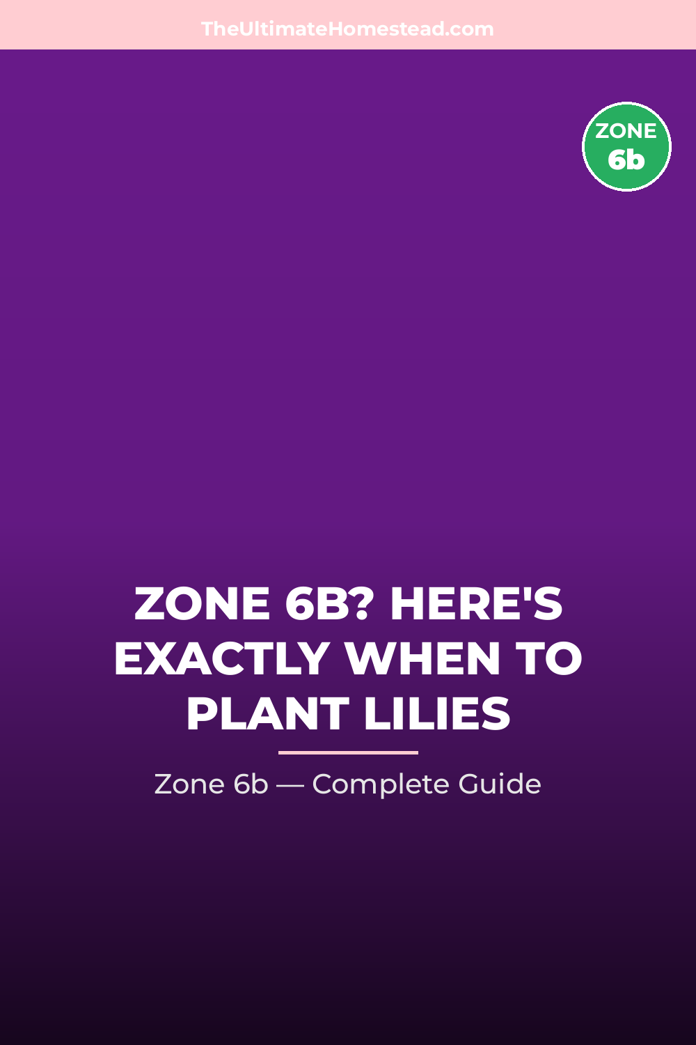 When to Plant Lilies in Zone 6b
