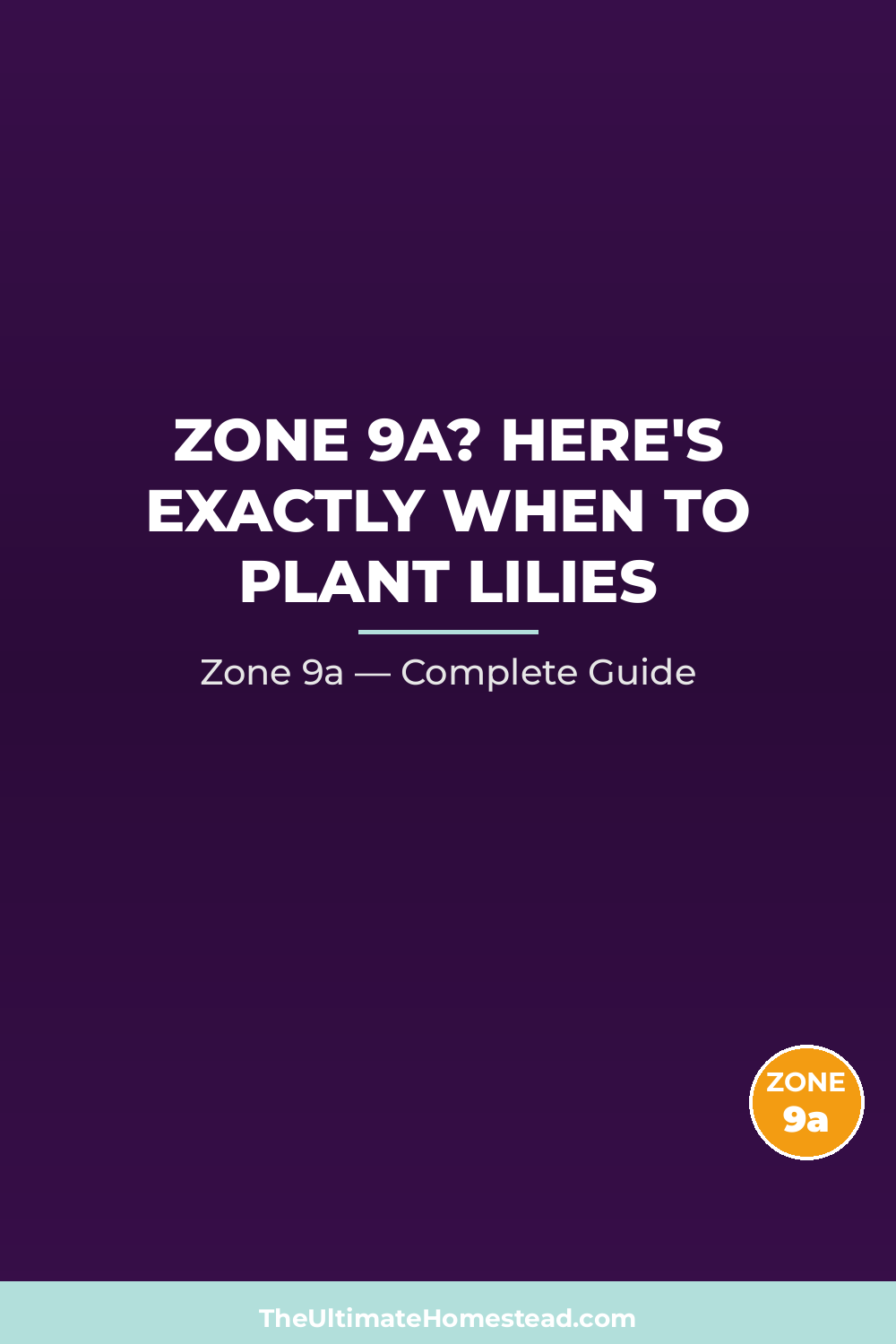 When to Plant Lilies in Zone 9a