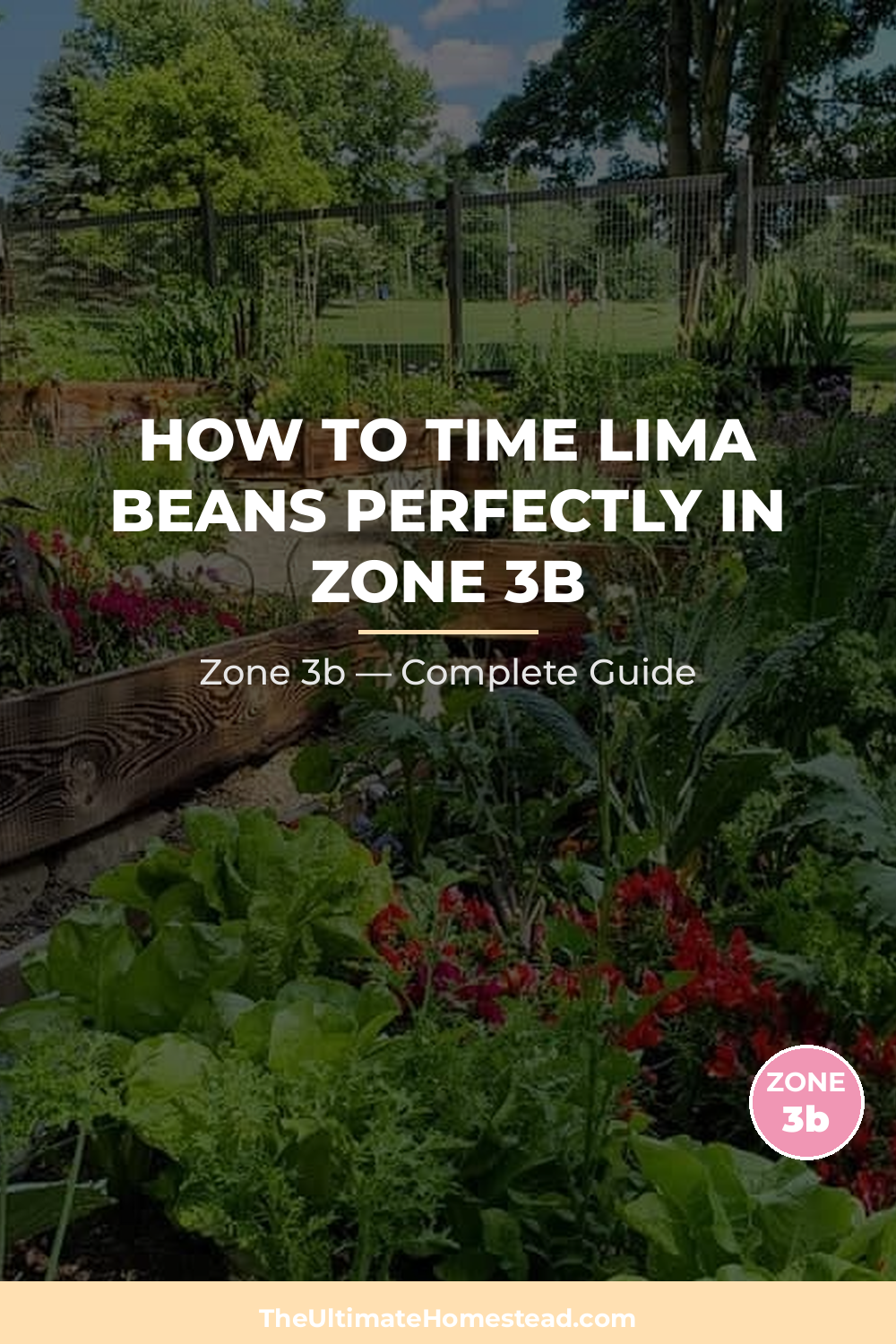When to Plant Lima Beans in Zone 3b