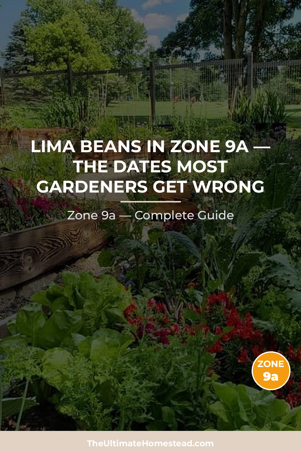 When to Plant Lima Beans in Zone 9a