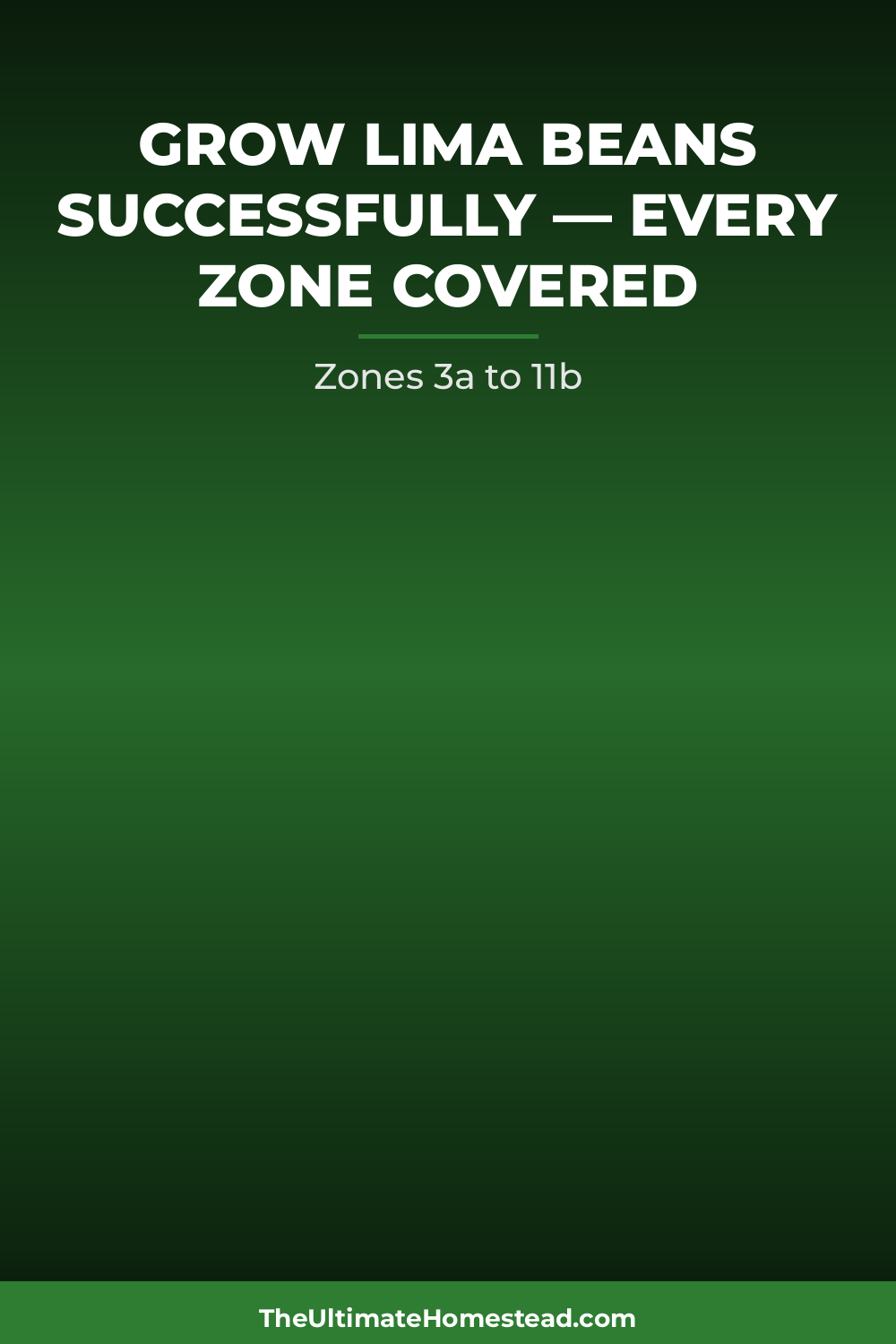 Lima Beans Planting Guide