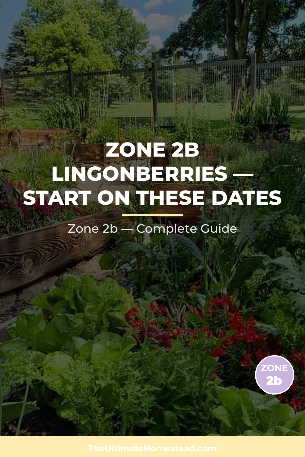 When to Plant Lingonberries in Zone 2b