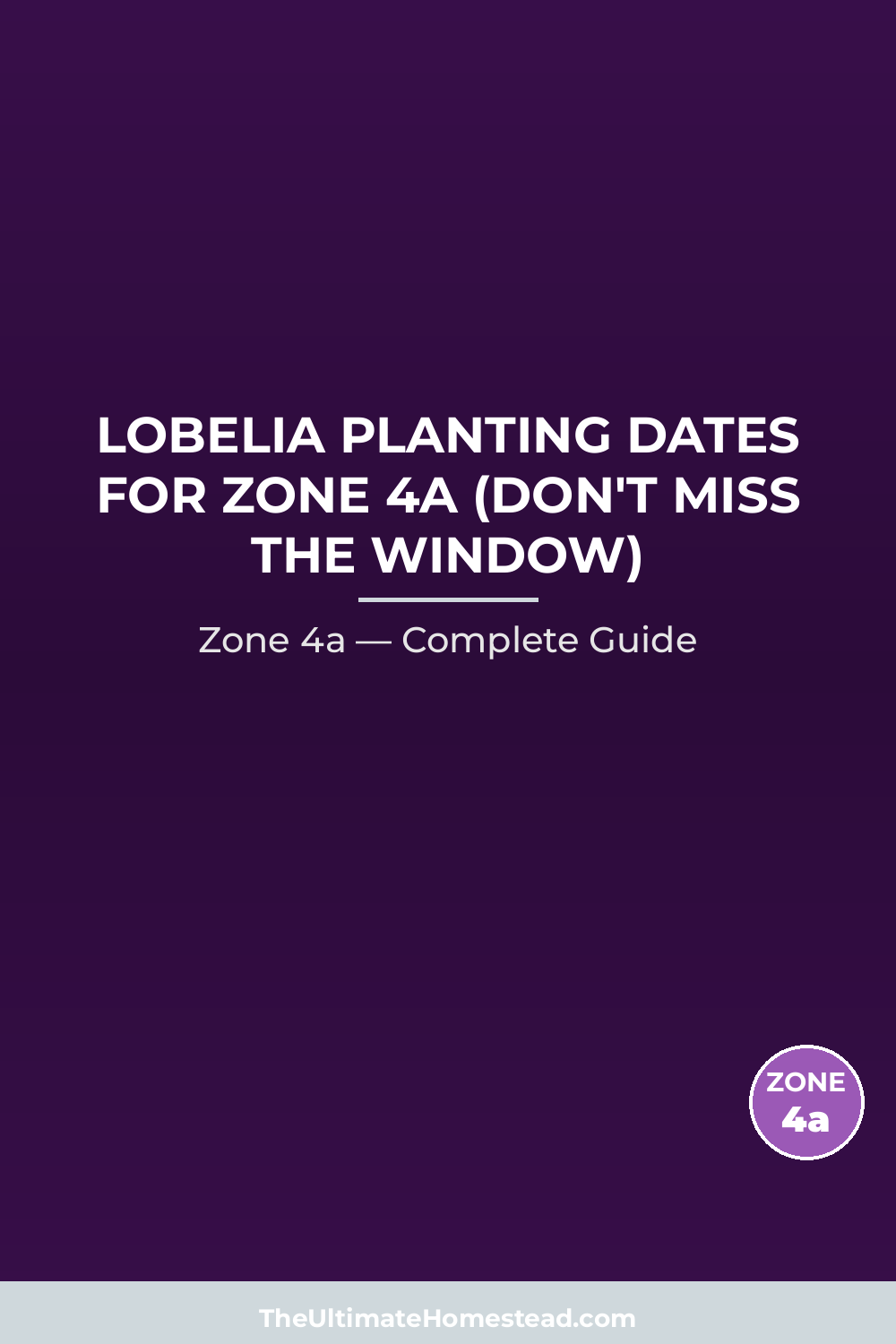 When to Plant Lobelia in Zone 4a