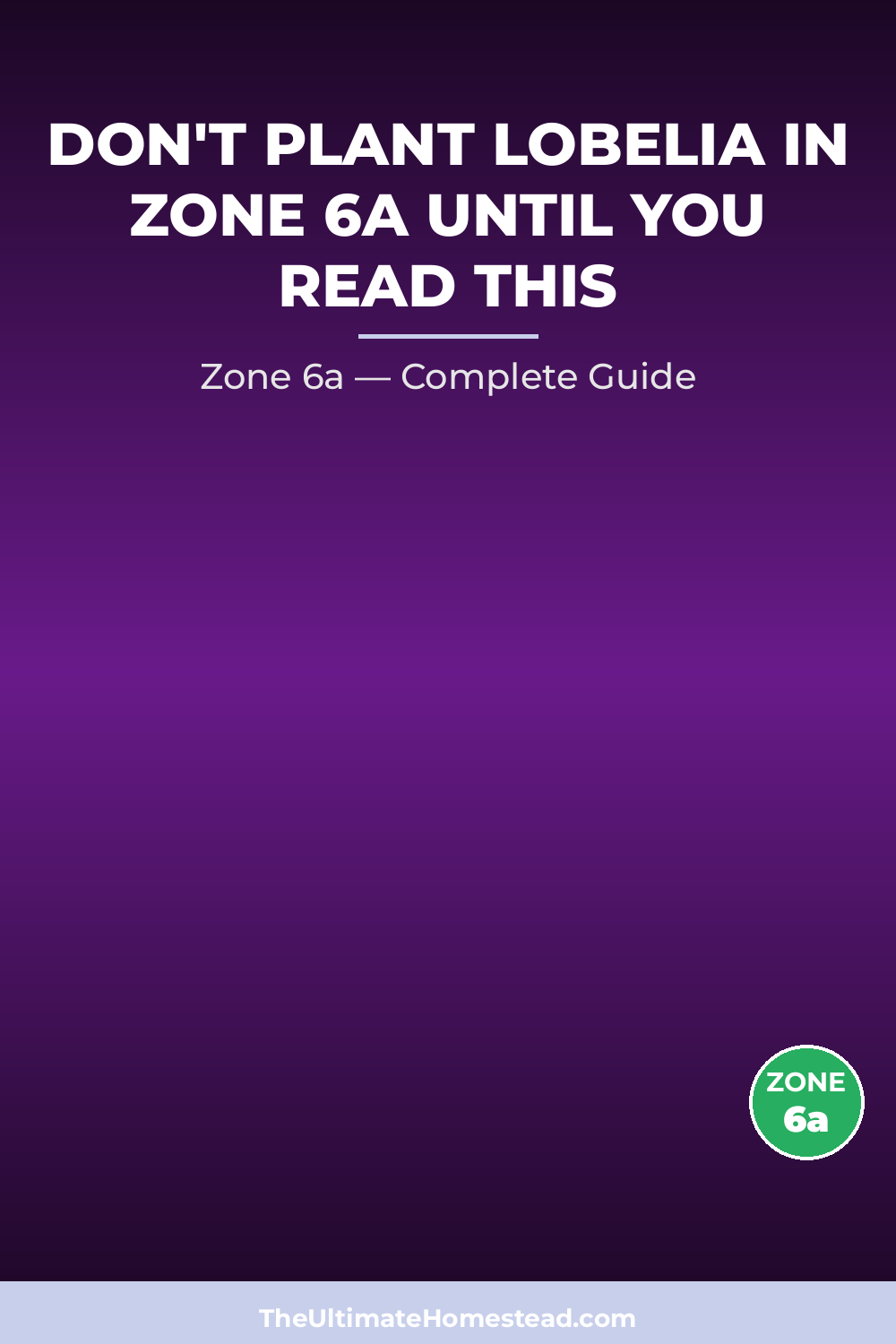 When to Plant Lobelia in Zone 6a