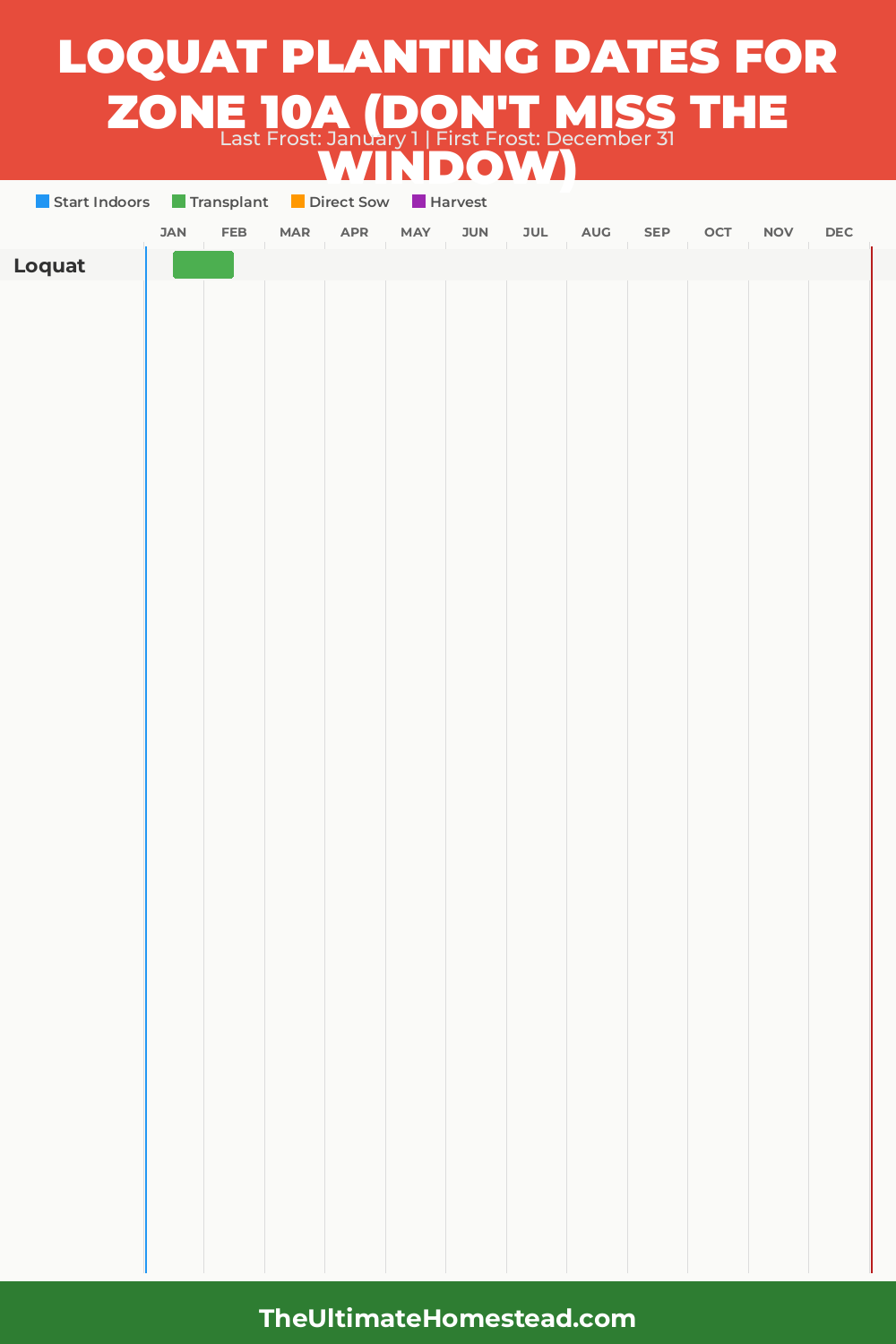 When to Plant Loquat in Zone 10a