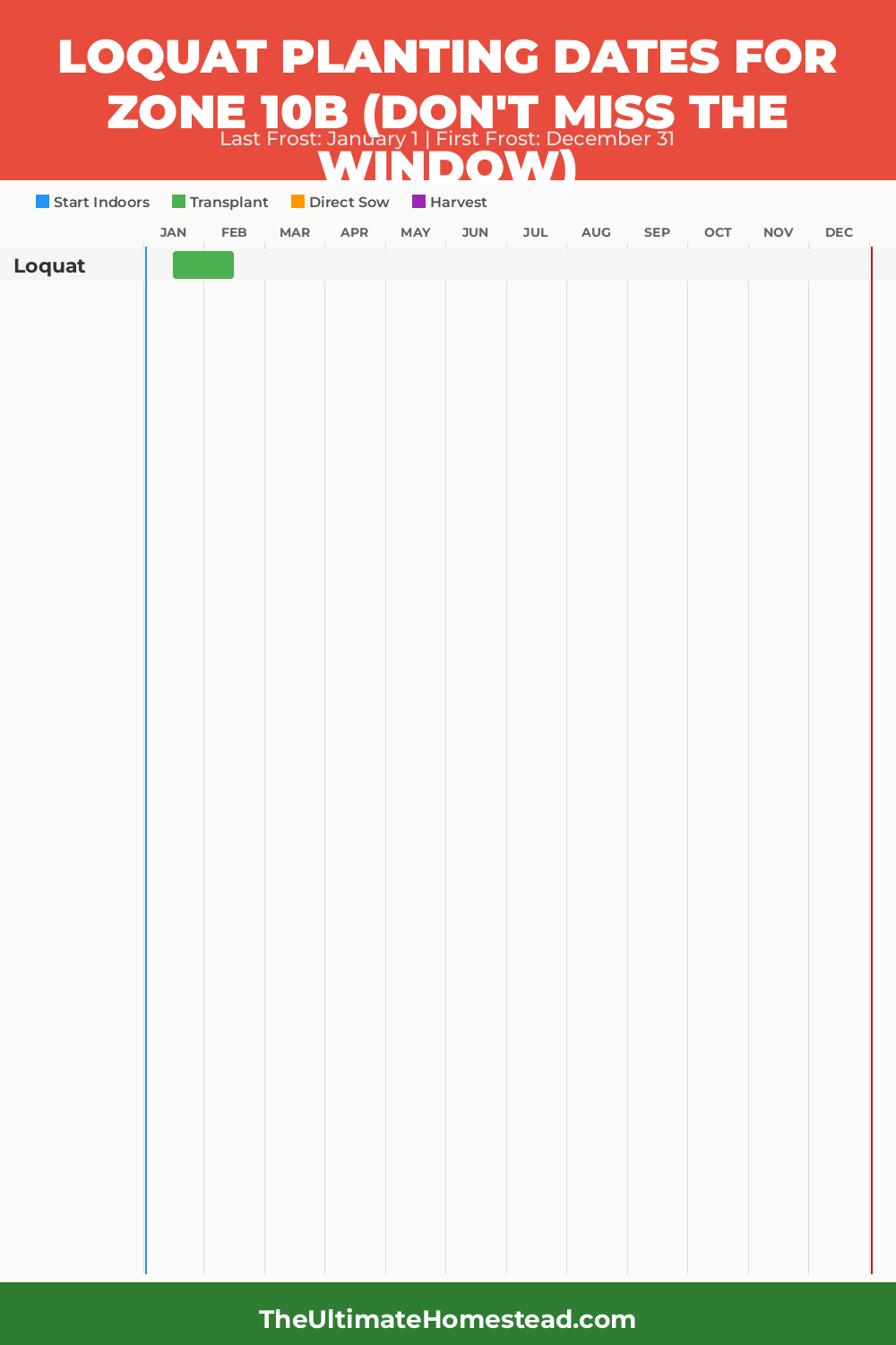 When to Plant Loquat in Zone 10b