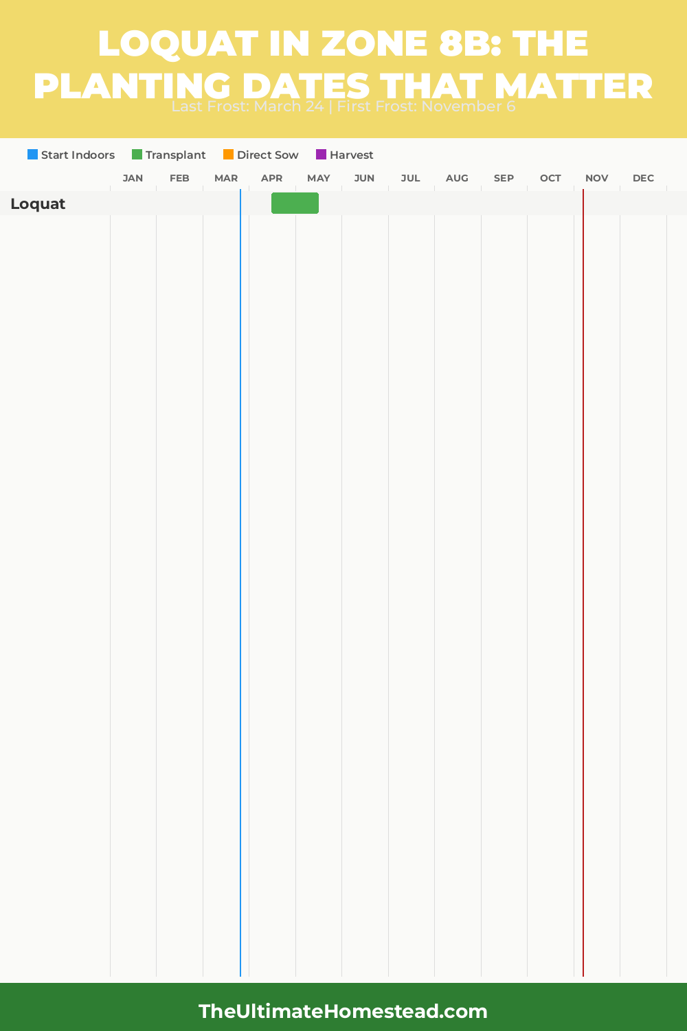 When to Plant Loquat in Zone 8b