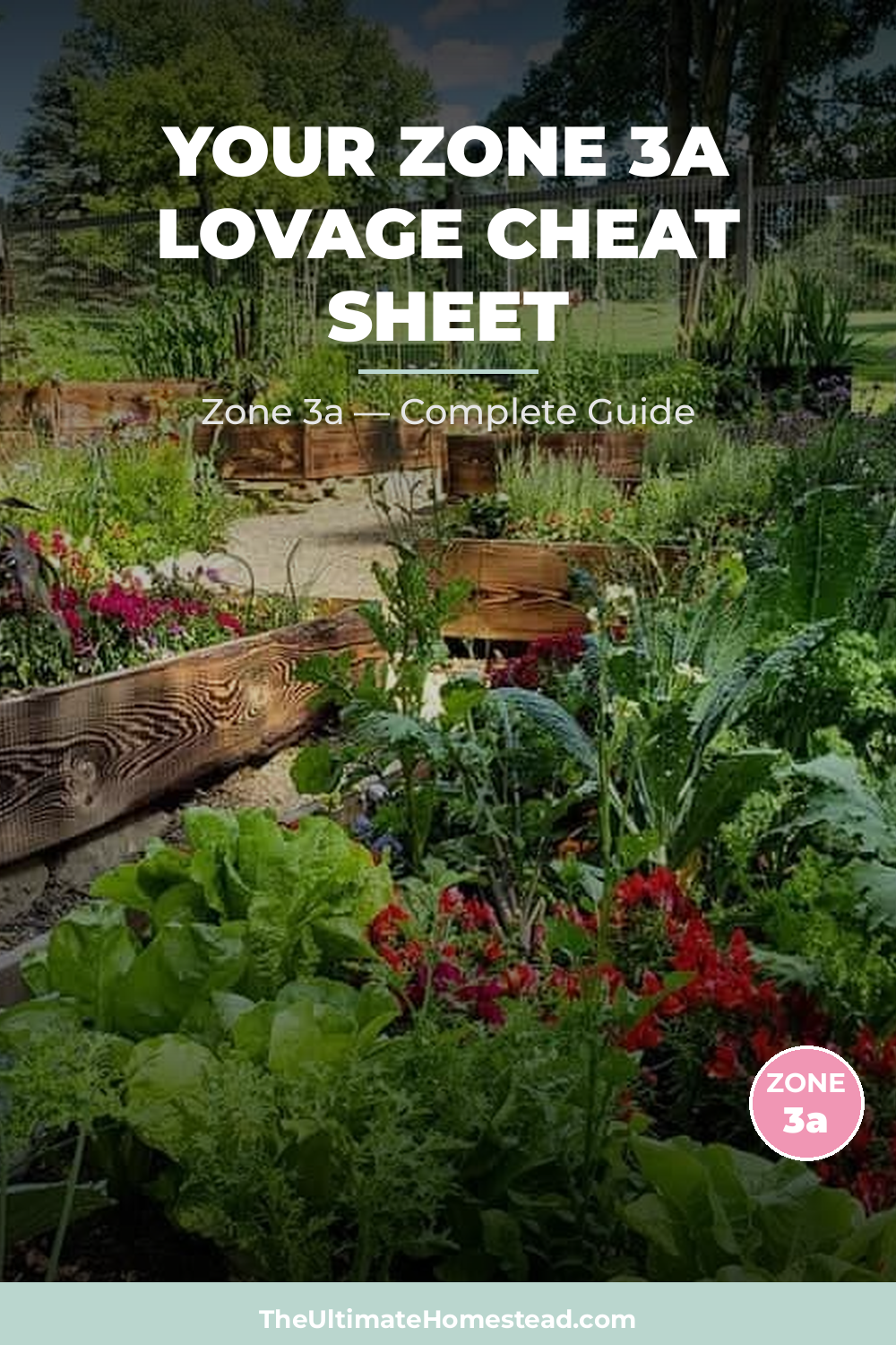 When to Plant Lovage in Zone 3a