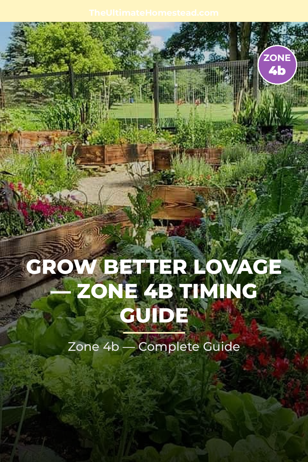 When to Plant Lovage in Zone 4b