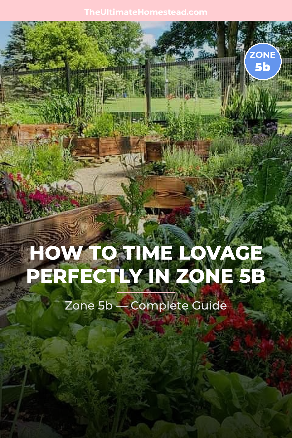 When to Plant Lovage in Zone 5b