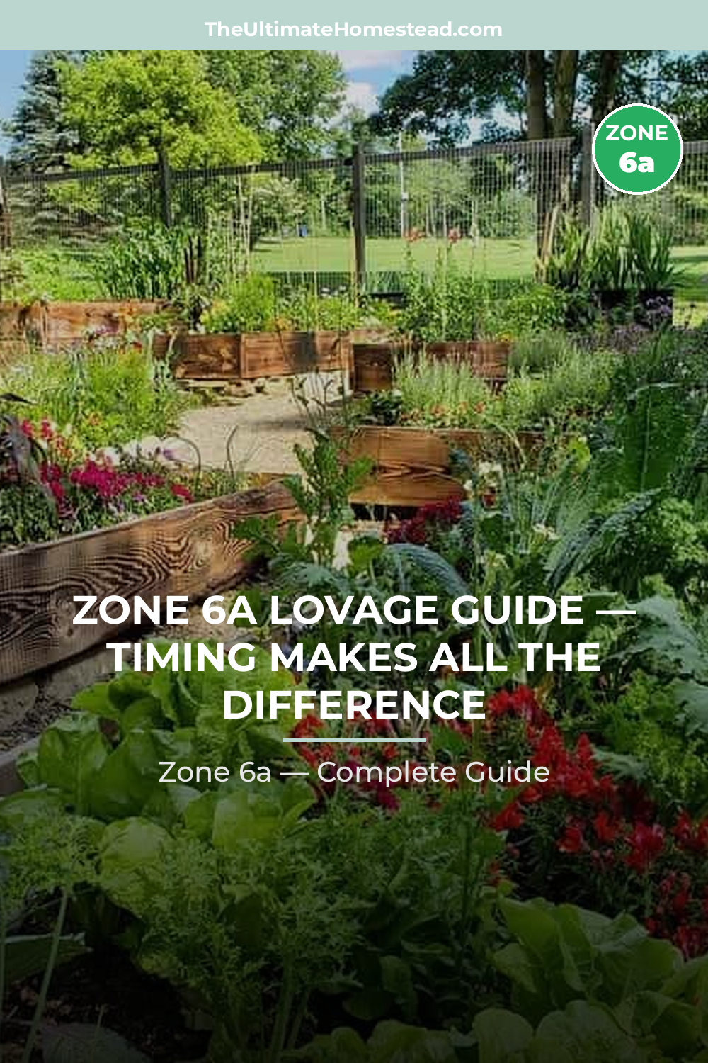 When to Plant Lovage in Zone 6a