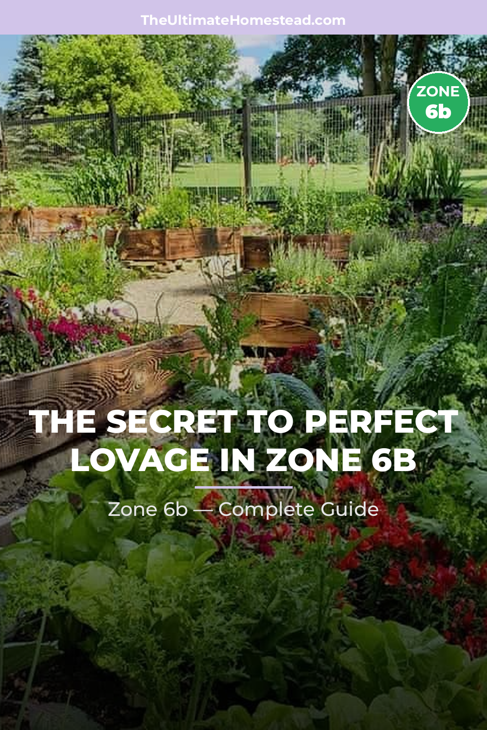 When to Plant Lovage in Zone 6b