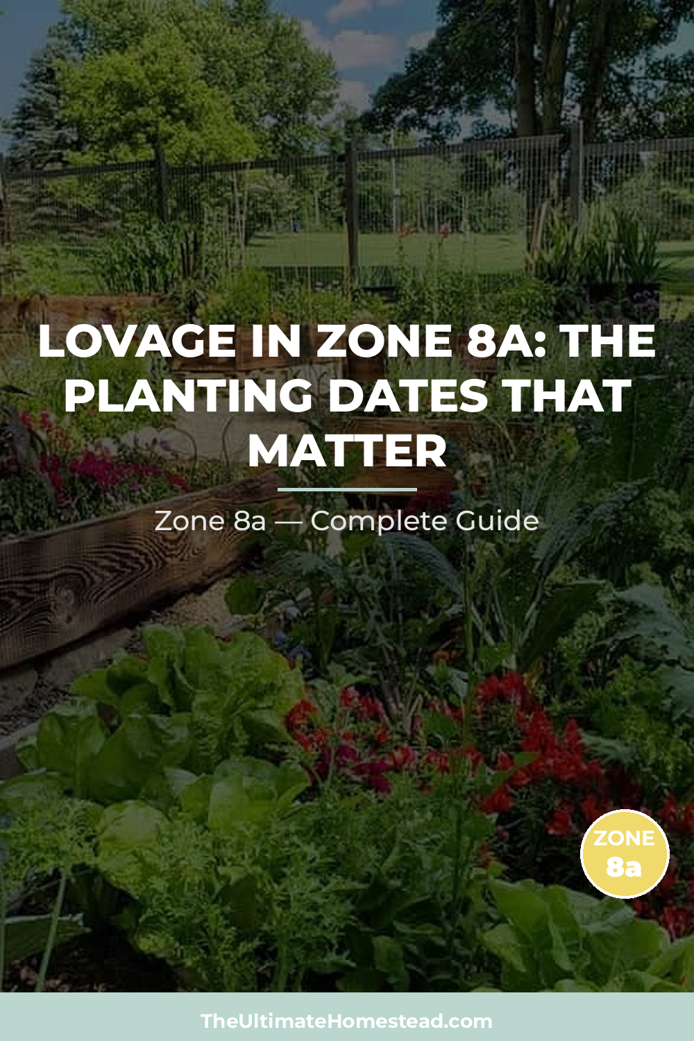 When to Plant Lovage in Zone 8a
