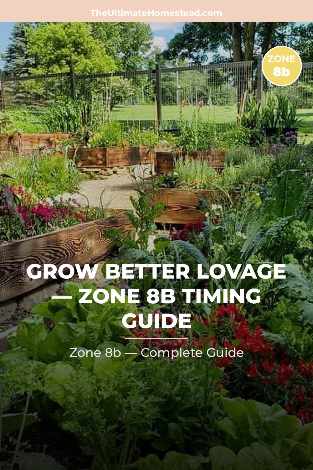 When to Plant Lovage in Zone 8b