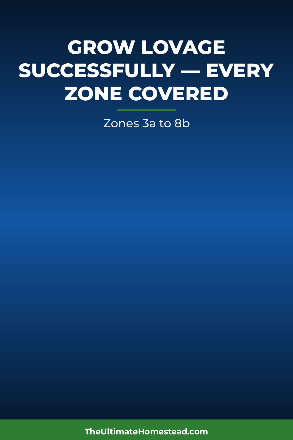 Lovage Planting Guide