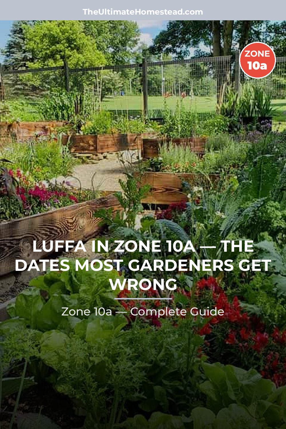 When to Plant Luffa in Zone 10a