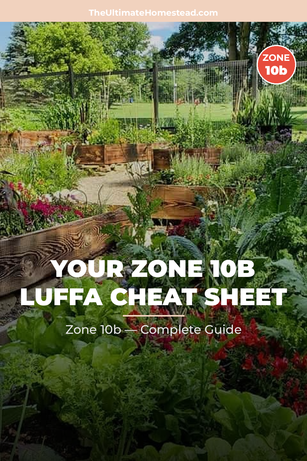 When to Plant Luffa in Zone 10b
