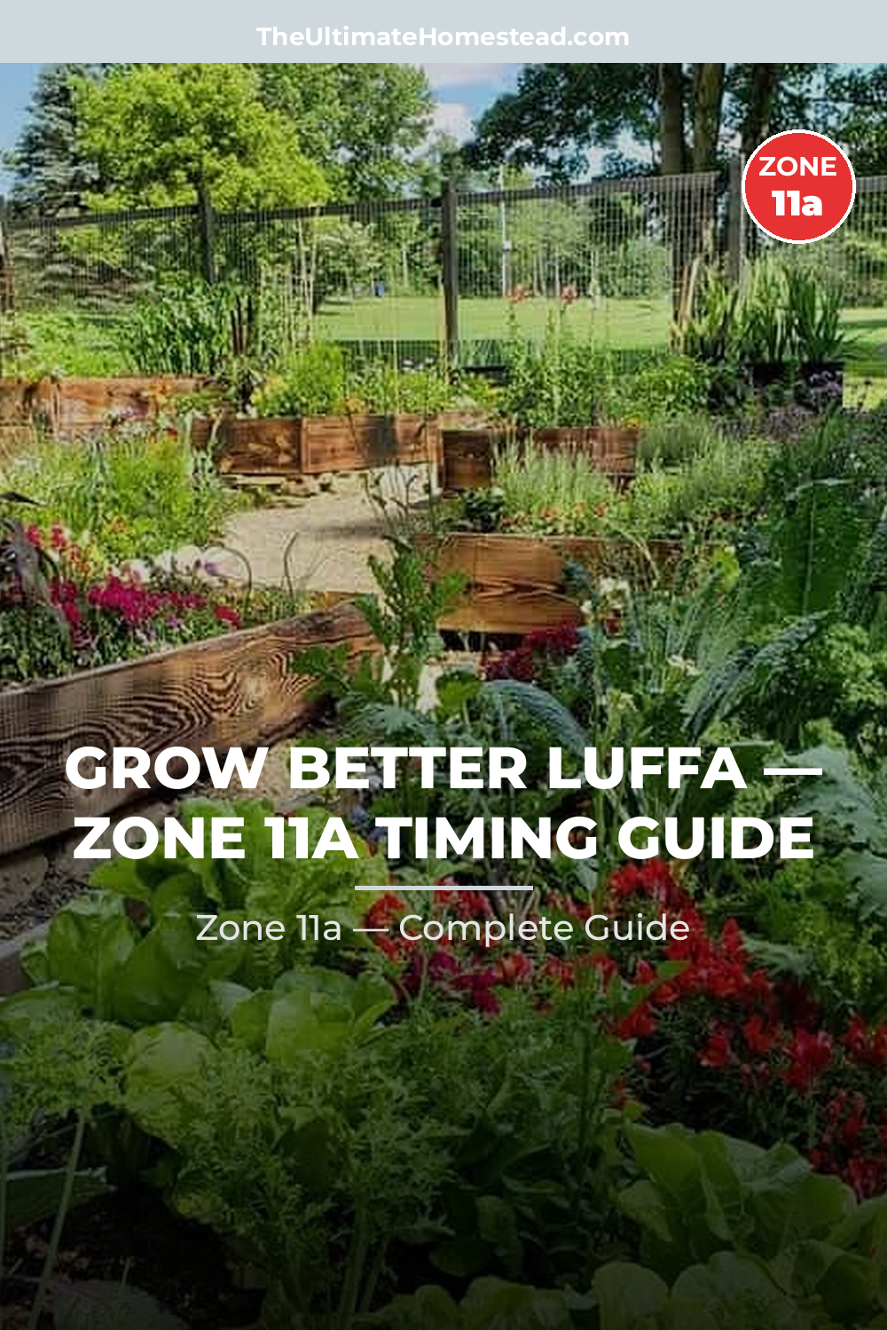 When to Plant Luffa in Zone 11a