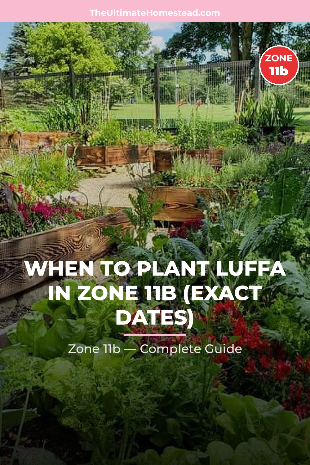 When to Plant Luffa in Zone 11b