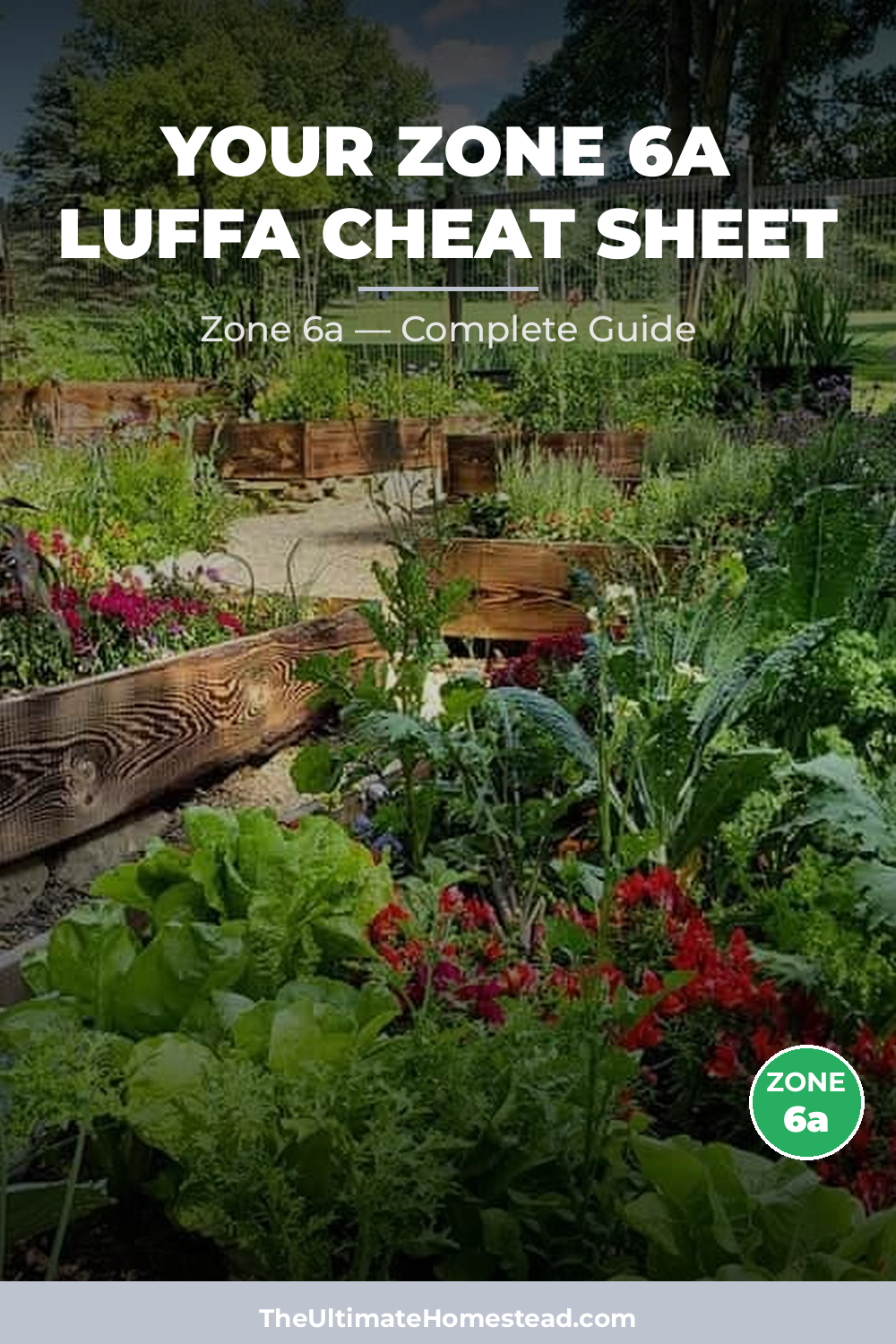 When to Plant Luffa in Zone 6a