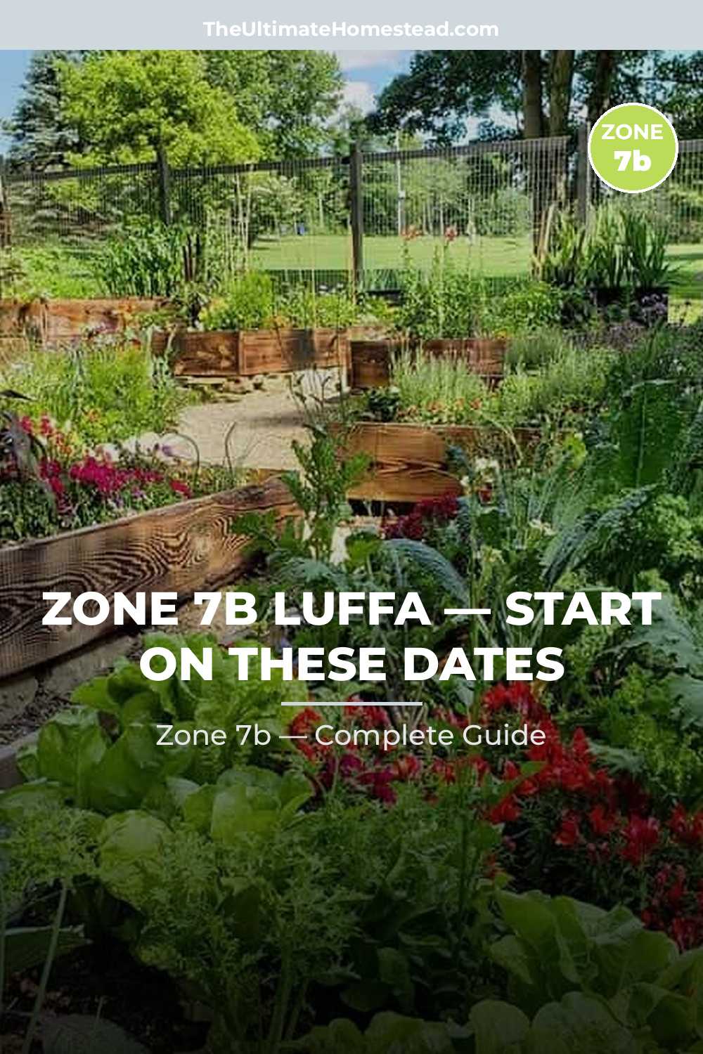 When to Plant Luffa in Zone 7b