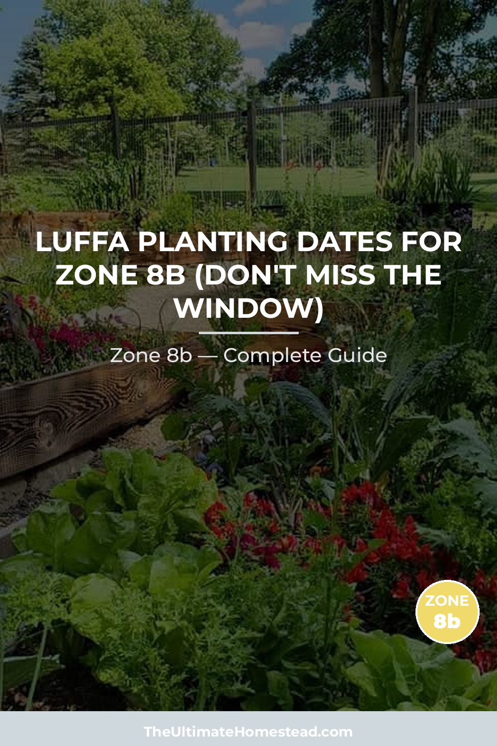 When to Plant Luffa in Zone 8b